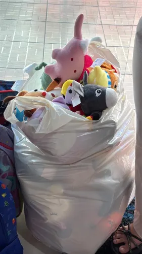 Grua de Pelúcias pronta pra usar