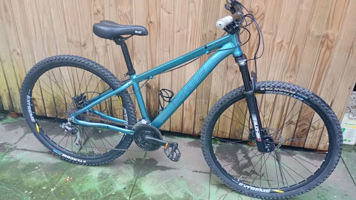 Bicicleta