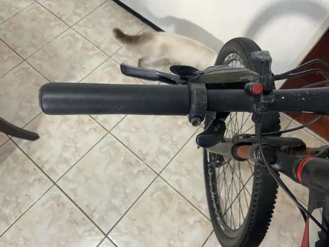 Bicicleta OGGI 