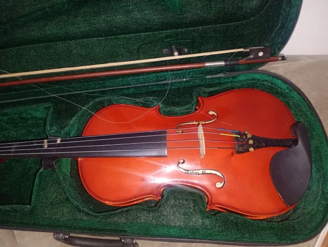 viola de arco 