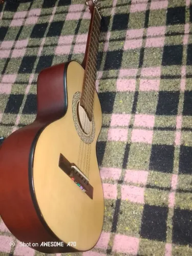 Viola marquês 10 cordas