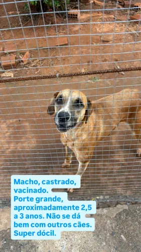 Adição responsável