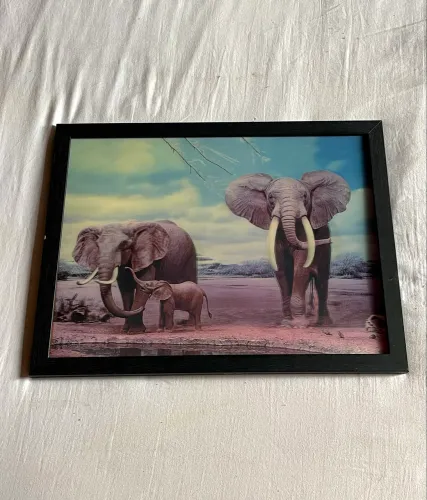 Quadro Lenticular 3D 40x30 com ilusão de ótica