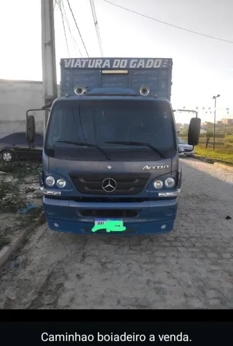 Caminhão boiadeiro