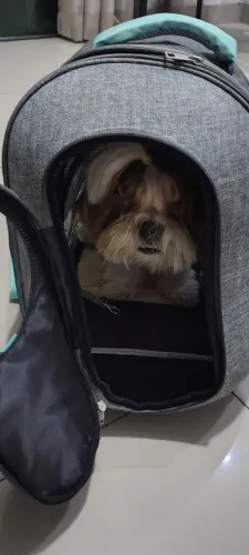 Bolsa para transportar pets
