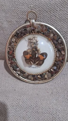 Quadro de taxidermia vintaje de borboleta