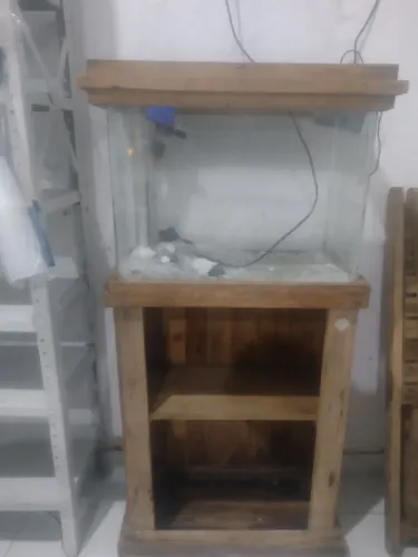 Aquário ?