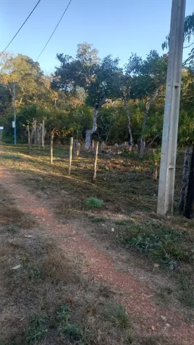 Vende-se pesqueiro em Acorizal lote 20x200 acesso com 20 metros de rio Cuiabá