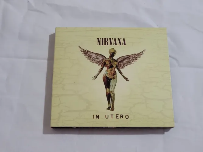 Cd Duplo Nirvana In Utero Comemorativa 22 Anos