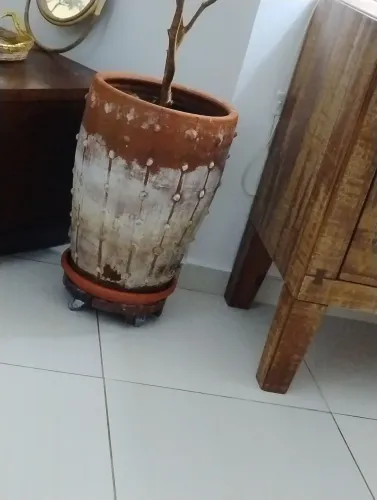 Doa-se jarro