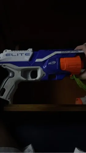 Nerf disruptor 