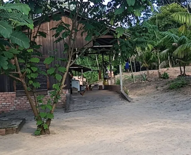 sítio com igarapé