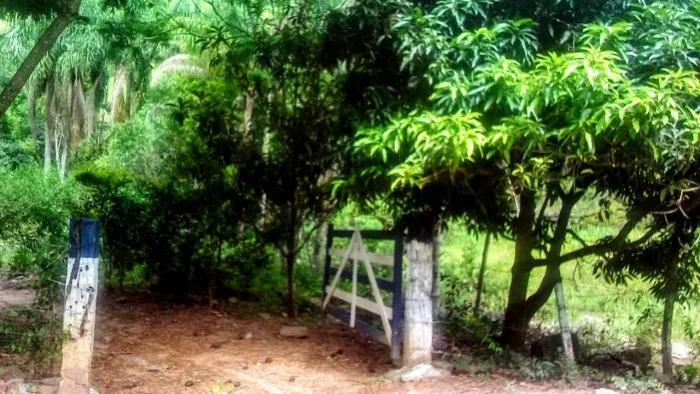 Sítio em Monte Verde JF