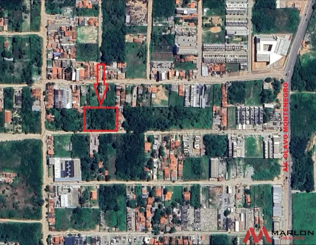 Terreno em Parque das Árvores, plano, próx a Av. Olavo Montenegro, 2.000m².