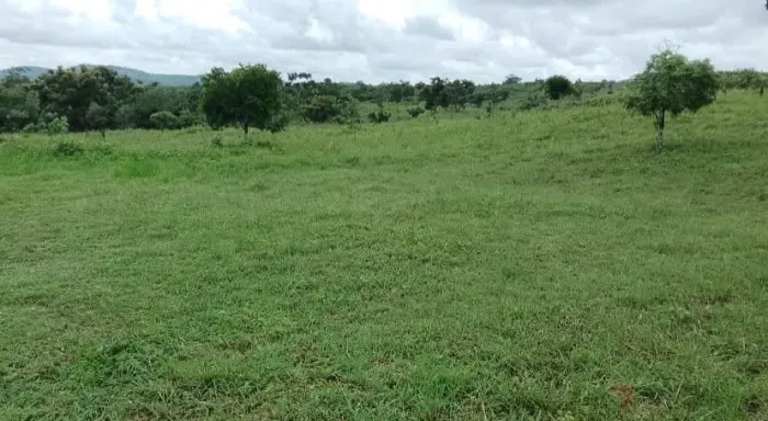 Terreno