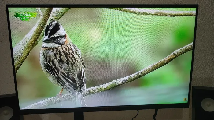 Monitor pichau athen v3 23.8 pol ips , fhd 1ms