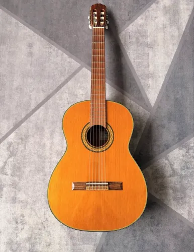 Takamine japonês