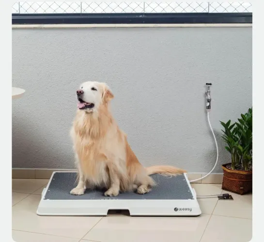 Weasy dog - grande - banheiro para cachorro