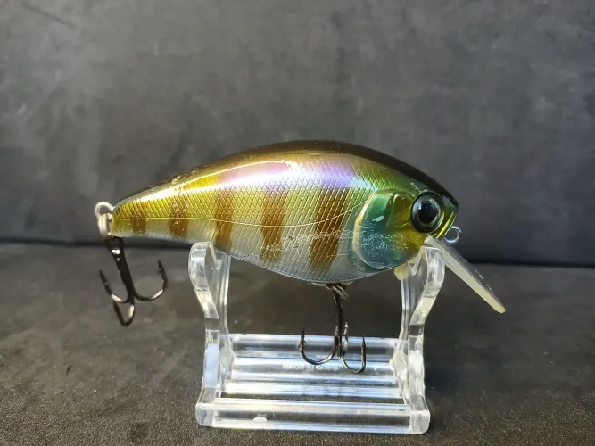 Isca Jackall Aska 60