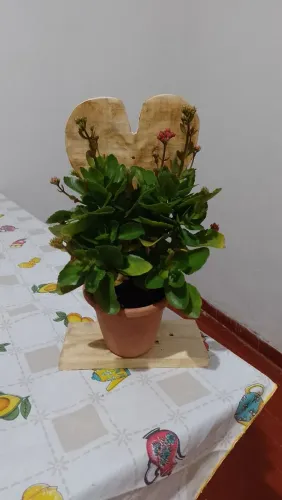 Coração emadeira suporte de plantas