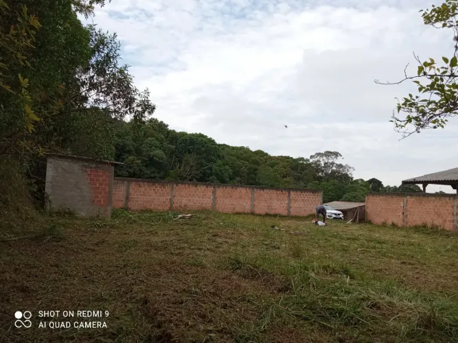 Lote em balsa nova