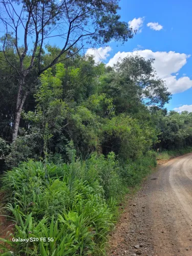 Terreno avenca do rio negro campo alegre sc