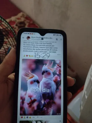 Celular