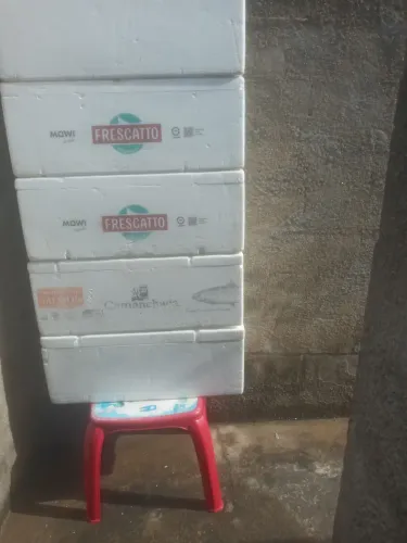 Caixa de isopor