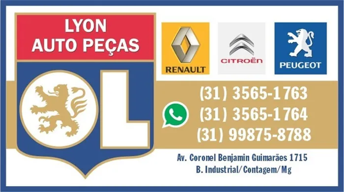 Lyon auto peças - tudo para seu Renault, Peugeot, Citroen