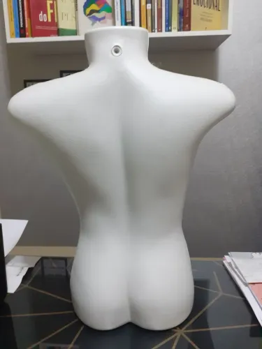 Busto feminino 