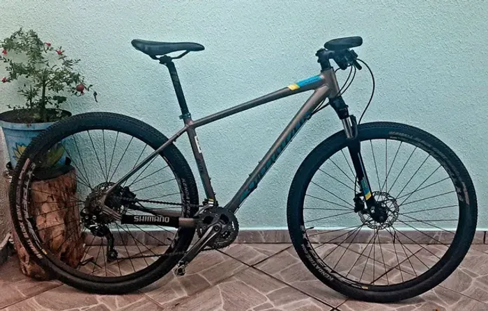Bike Specialized Crosstrail Elite Disc com NF