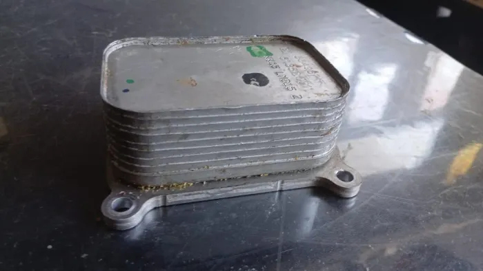 Radiador De Óleo Motor Ônix Lt1 1.0 Turbo 2020 Original