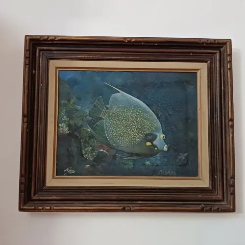 Quadro de peixe emoldurado
