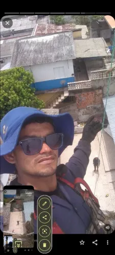 corte poda de árvore de alto risco