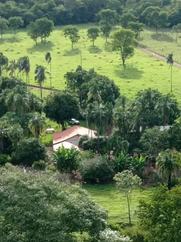 Chácara 5 alqueires em trindade 