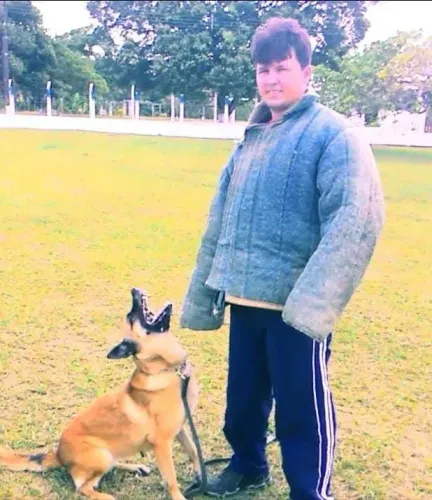 Adestramento de cães qualquer raça ou idade 