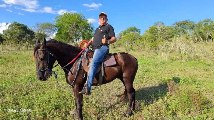 Excelente fazenda de, aproximadas, 1000t, no capim, rio, e energia elétrica