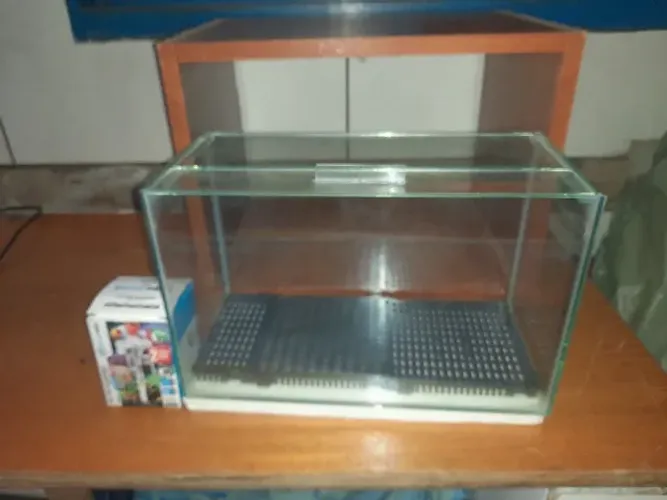 Aquario