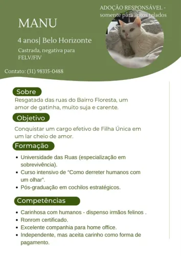 Gatinha manhosa