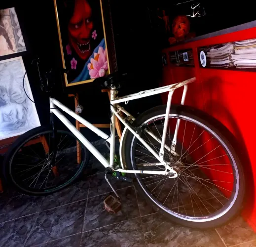 Bike aro26