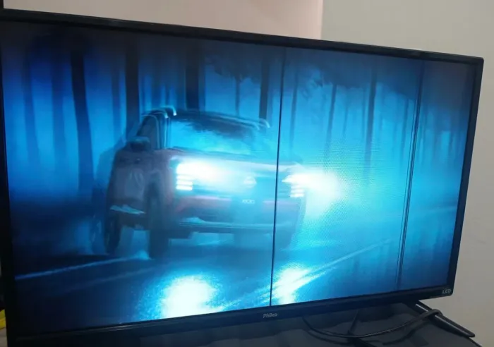 Vendo televisão