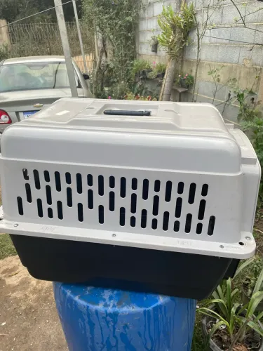 Caixa de transporte para cachorro 