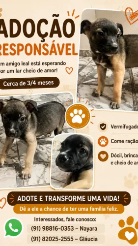ADOÇÃO RESPONSÁVEL 