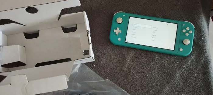 Nintendo switch lite