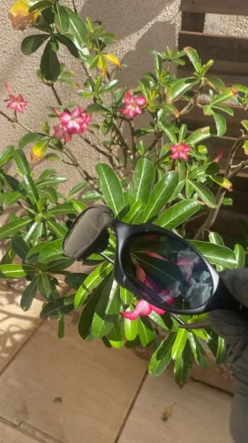 Óculos de sol Romeo 1 Linha Premium