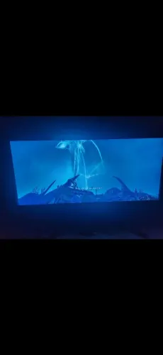 Monitor ultrawide