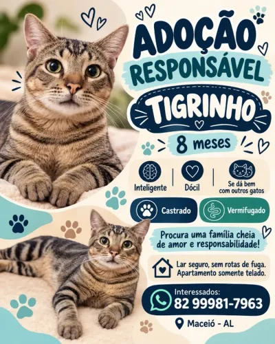 Animal