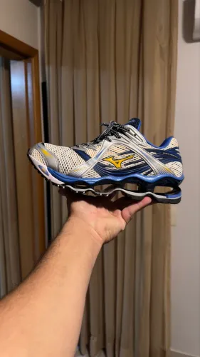 Mizuno prophecy 1
