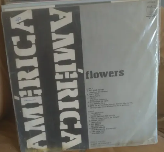 Disco de vinil
