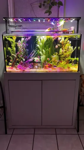 Aquário 200 litros